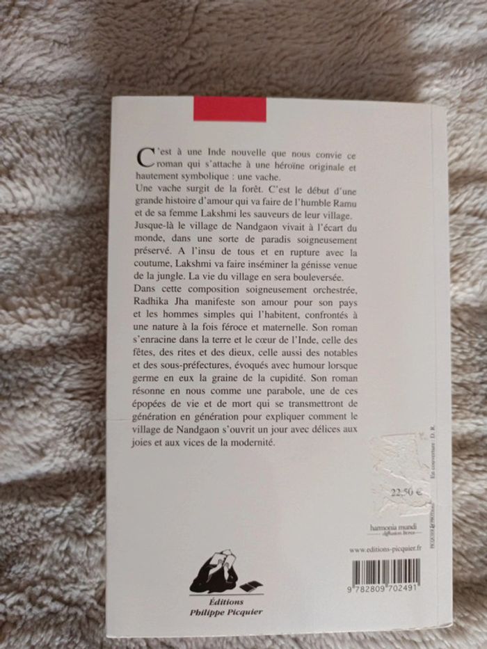 Des lanternes à leurs cornes attachées - photo numéro 3