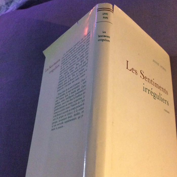 #les sentiments irréguliers Anne Pons - photo numéro 5