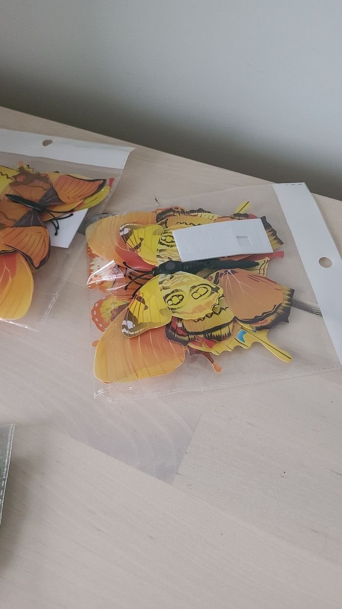 Activités - photo numéro 3