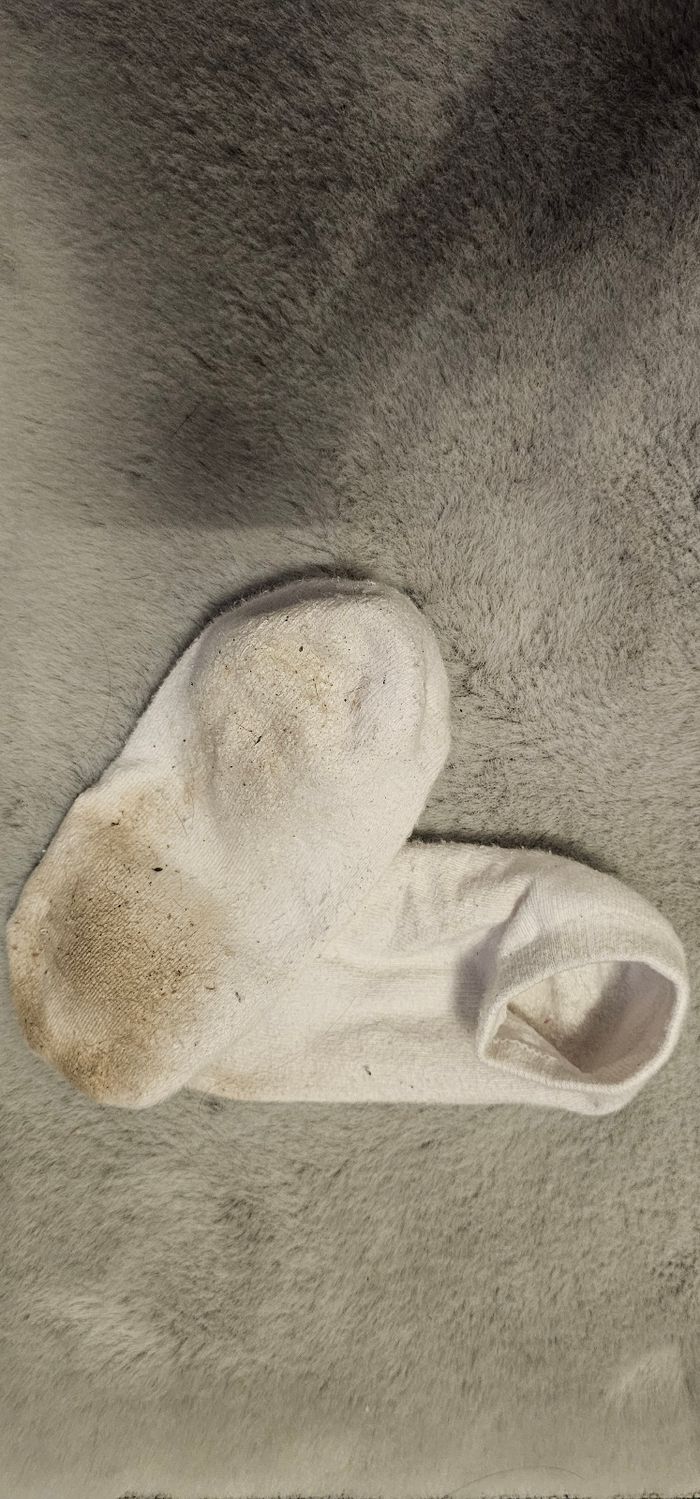 Chaussettes - photo numéro 2