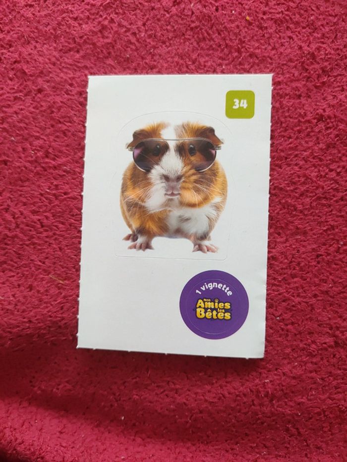 Autocollant nos amies les bêtes