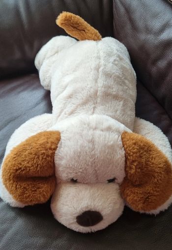 Peluche 