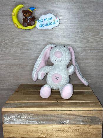 SOL222 doudou lapin 🐰 tommee tipee