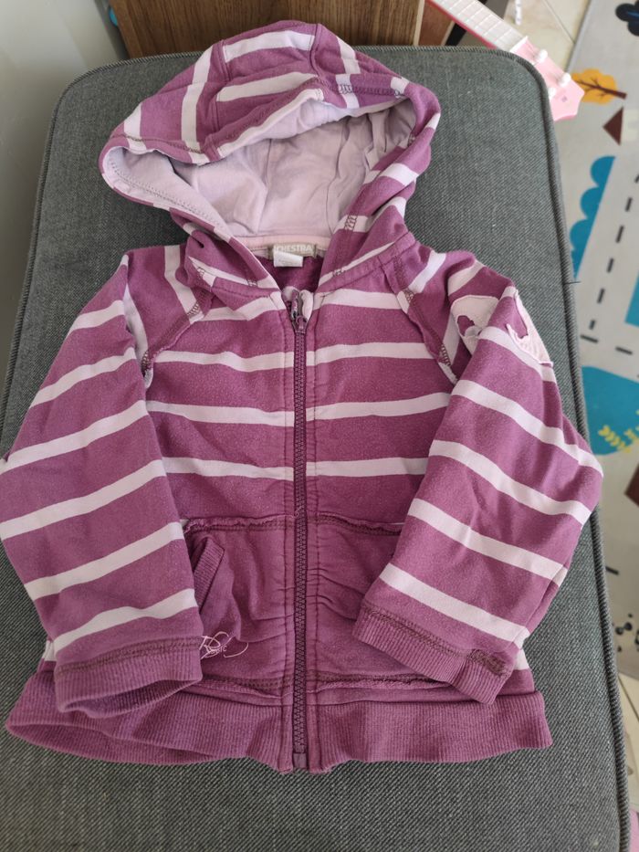 veste violette