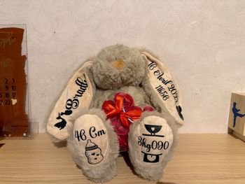 Lapin personnalisé 