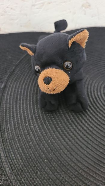 doudou  Ours brun Animal sauvage Ours noir Longueur 17CM unipak