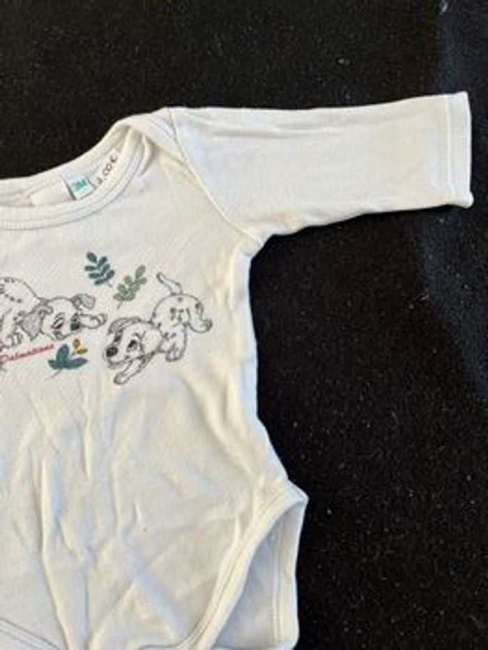 Bodie 3 mois - photo numéro 2