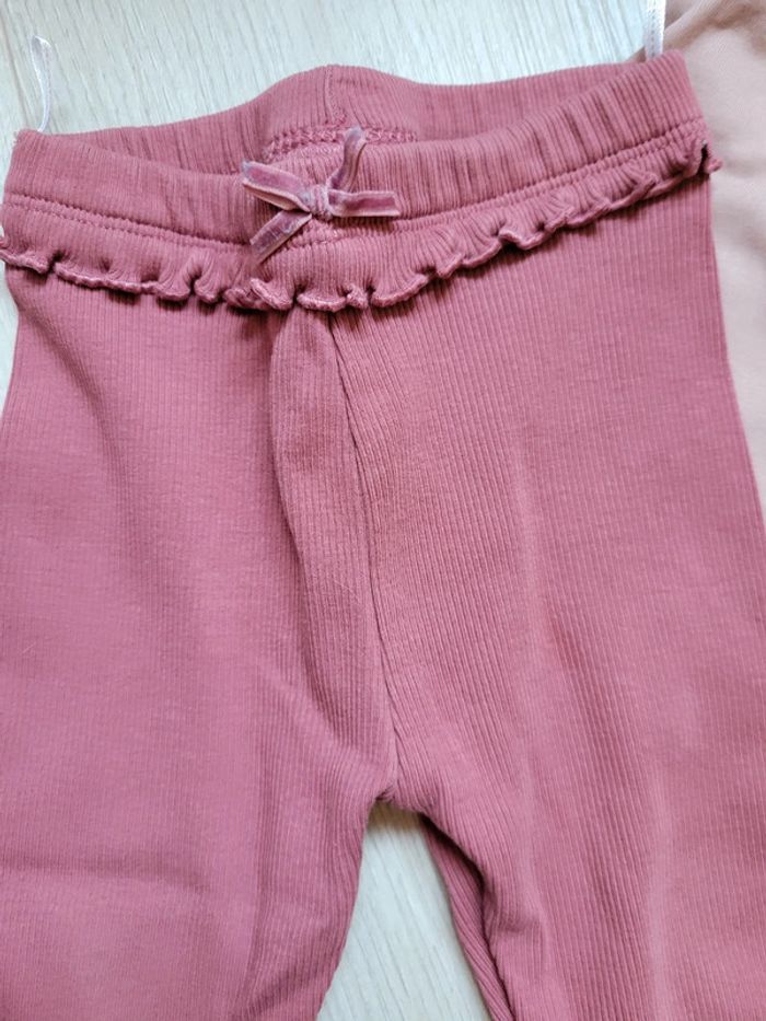 Ensemble ecureuil - photo numéro 3