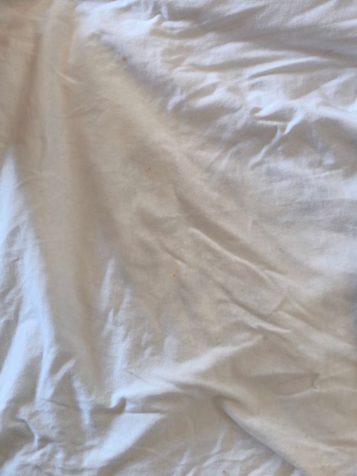 T shirts famille ours matchy matchy maman bébé papa bébé papa ours maman ours bébé ours t shirt body - photo numéro 6