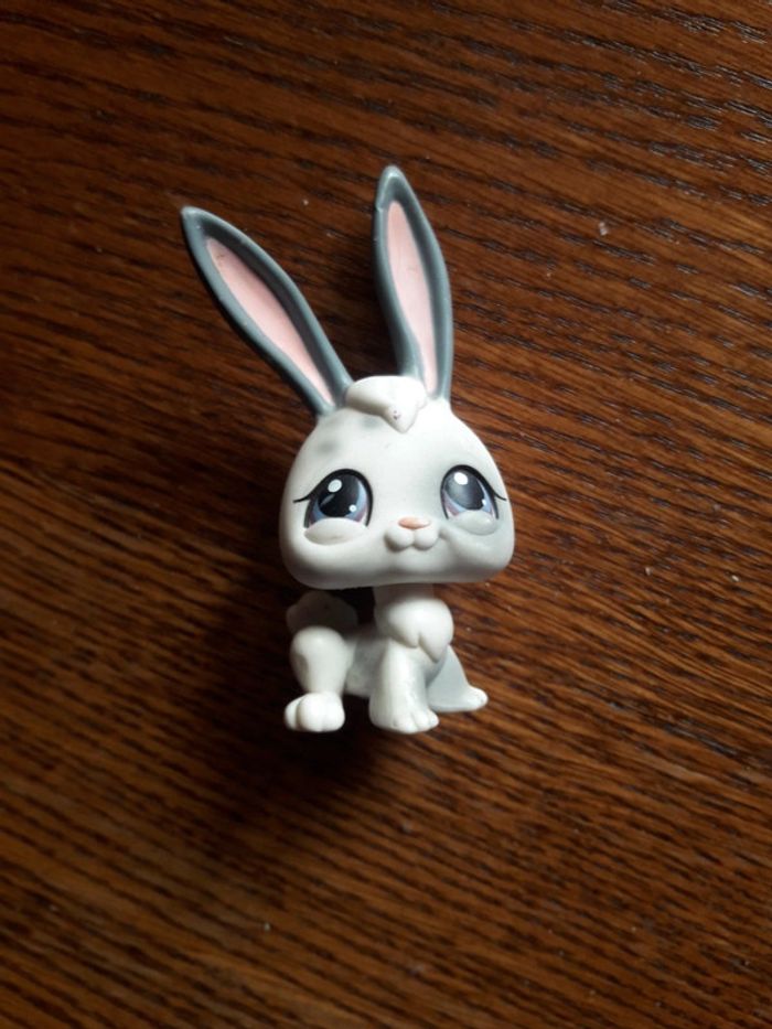 Pet shop bunny rabbit