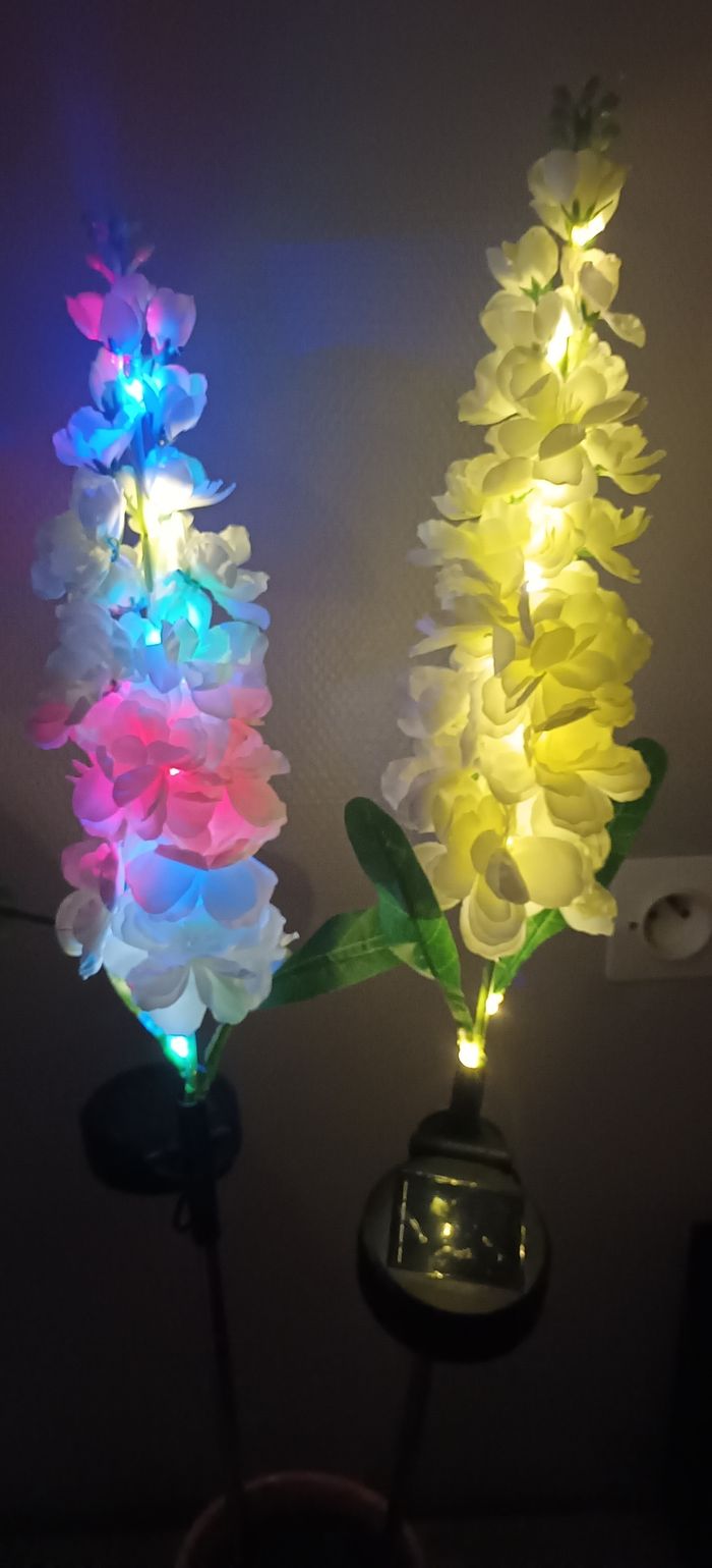 Fleurs solaire - photo numéro 6