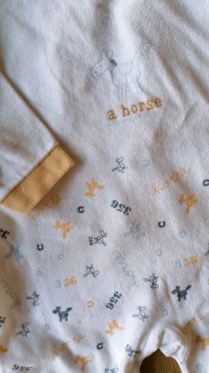 Grenouillère 'A horse' - photo numéro 2