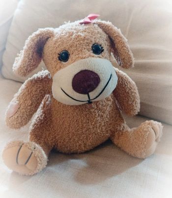 Siplec Peluche plush chien dog puppy Teddy musical musique danse dance court furet bois bouclette