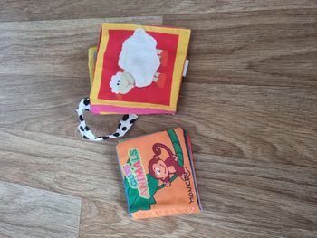 Lot livre tissu Playgro