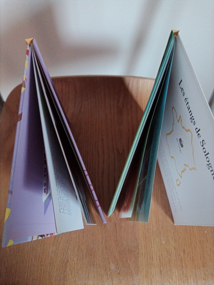 Lot de 2 petits livres illustré Virginie Grimaldi - photo numéro 3