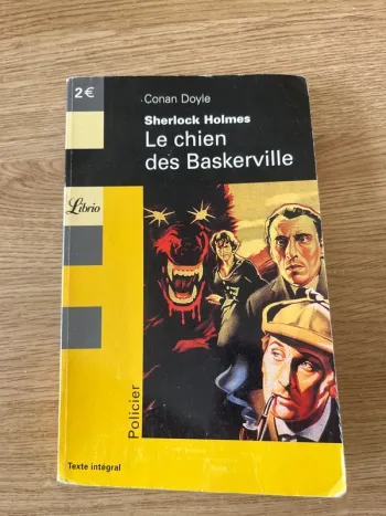 Le chien des Baskerville