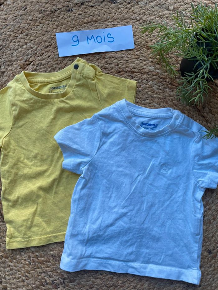 Lot 2 tee-shirts 9 mois