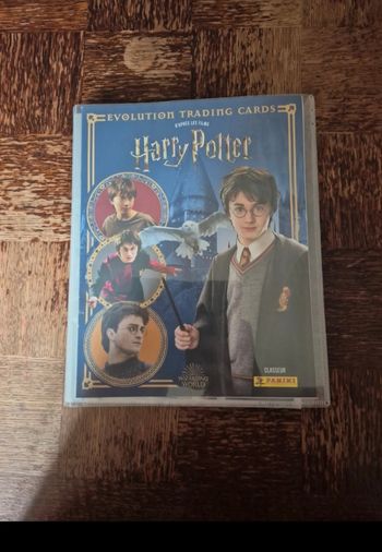 Harry potter panini