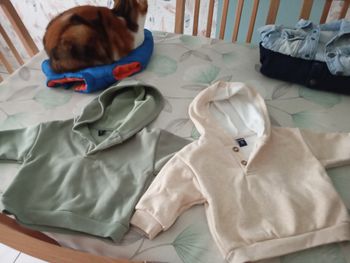 Pull  a  capuche
