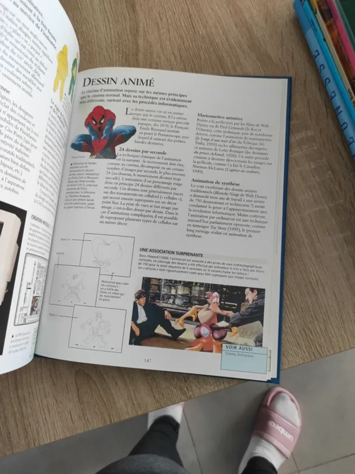 Encyclopédie junior de bresil a energie éolienne - photo numéro 5
