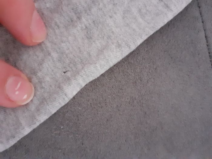 Tee-shirt - photo numéro 2