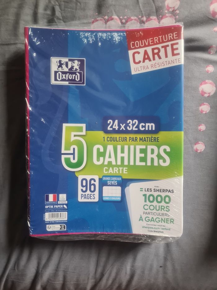 Lot de 5 cahiers 24x32cm 96 pages grands carreaux NEUFS