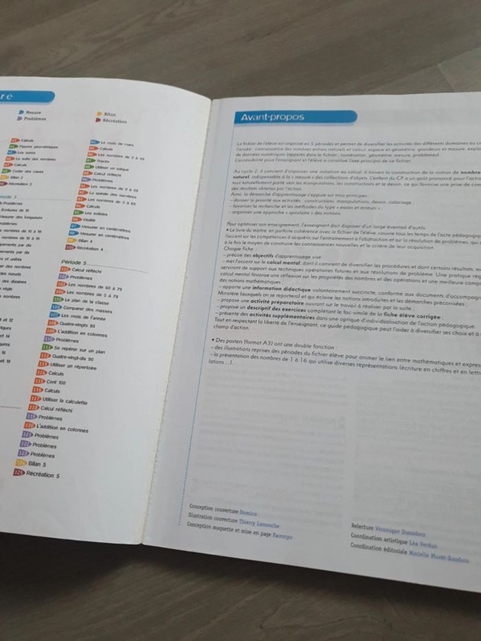 Livre cp cycle 2 - photo numéro 6