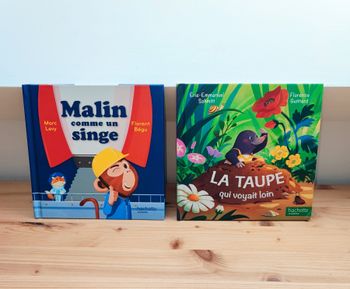 📚 Lot de 2 livres enfant - Hachette Jeunesse 📚