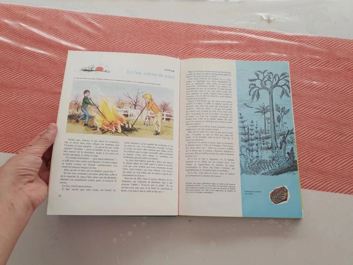 Livre vintage la nature - photo numéro 16