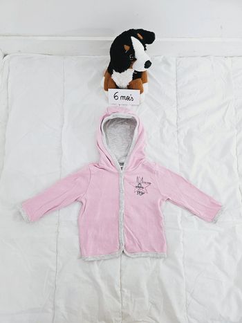 Veste à capuche jogging rose et grise Looney Tunes bébé fille 6 mois
