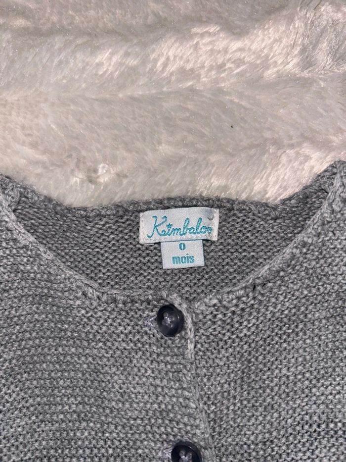 Gilet gris - photo numéro 2