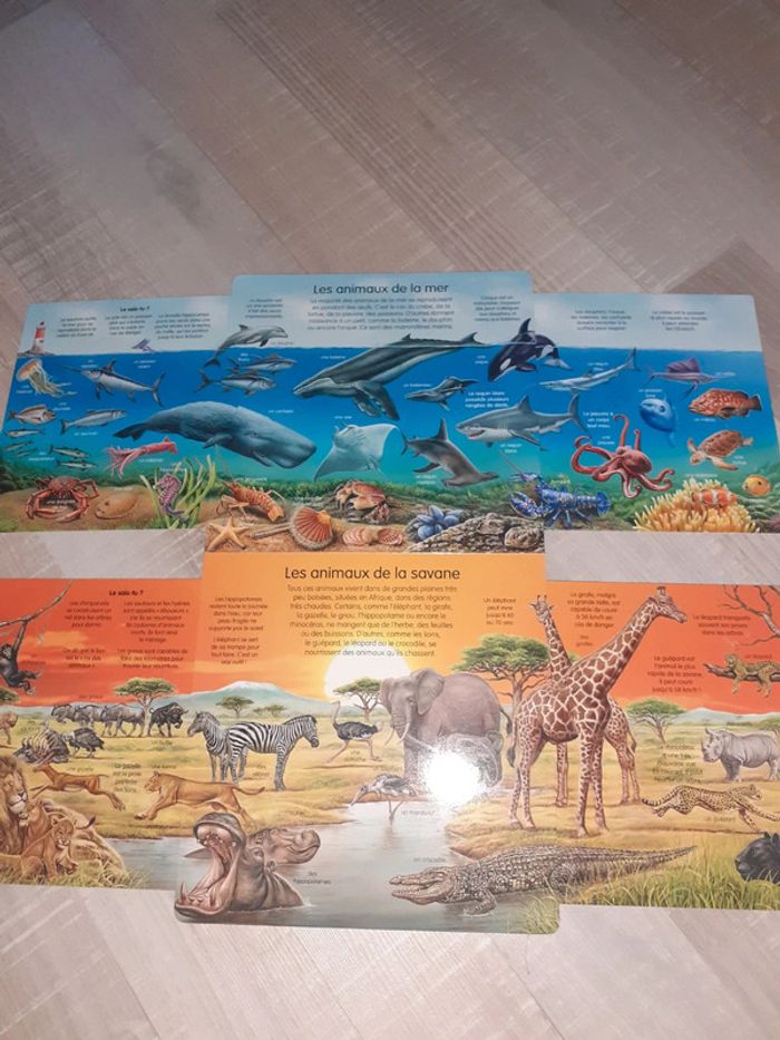 L'imagerie découverte animaux - photo numéro 4