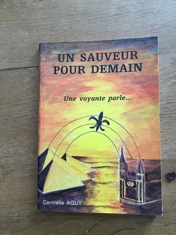 Livre « un sauveur pour demain »