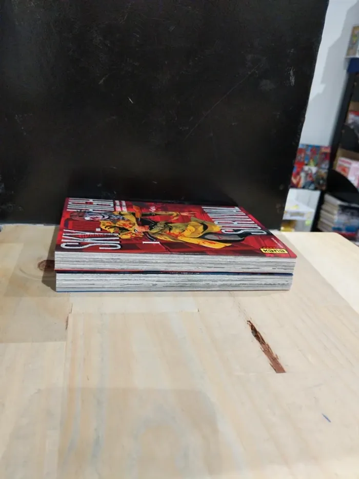 Sky-High Survival – Tomes 1 & 2 - photo numéro 3