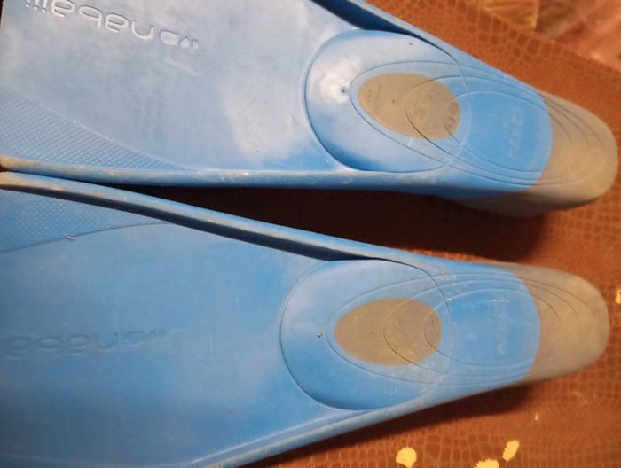 Palme 38/39 - photo numéro 2