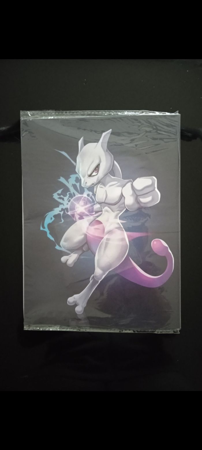 Beau Album Pokémon - photo numéro 3