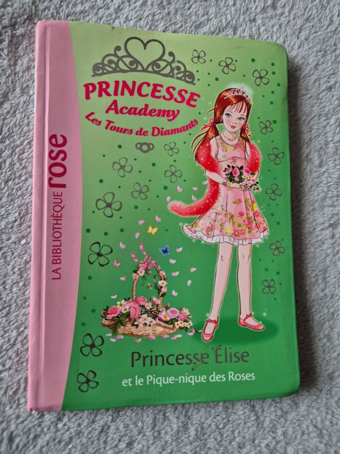 Livre princesse academy