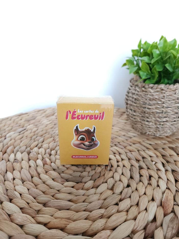 Jeu Les cartes de l'écureuil