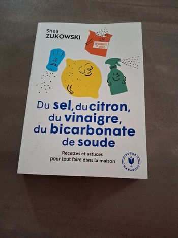 Du sel du citron du vinaigre du bicarbonate de soude