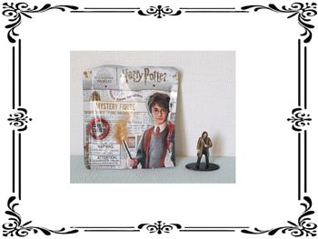 Figurine Sirius Black (Harry Potter).