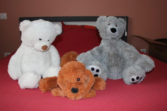 Lot de 3 belles peluches (2 nounours et 1 chien) - photo numéro 3