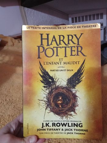 Harry Potter et l'enfant maudit