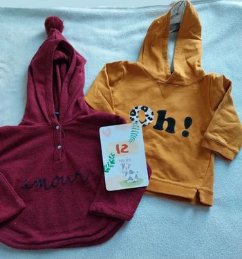 Lot 2 sweat 12 mois 