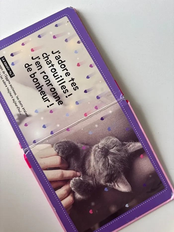Livre, chats mignons - photo numéro 3