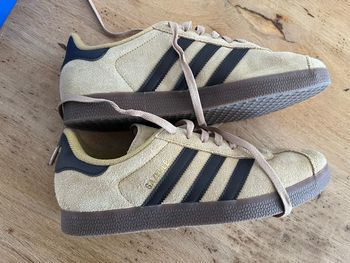 Adidas gazelle taille 42 2/3