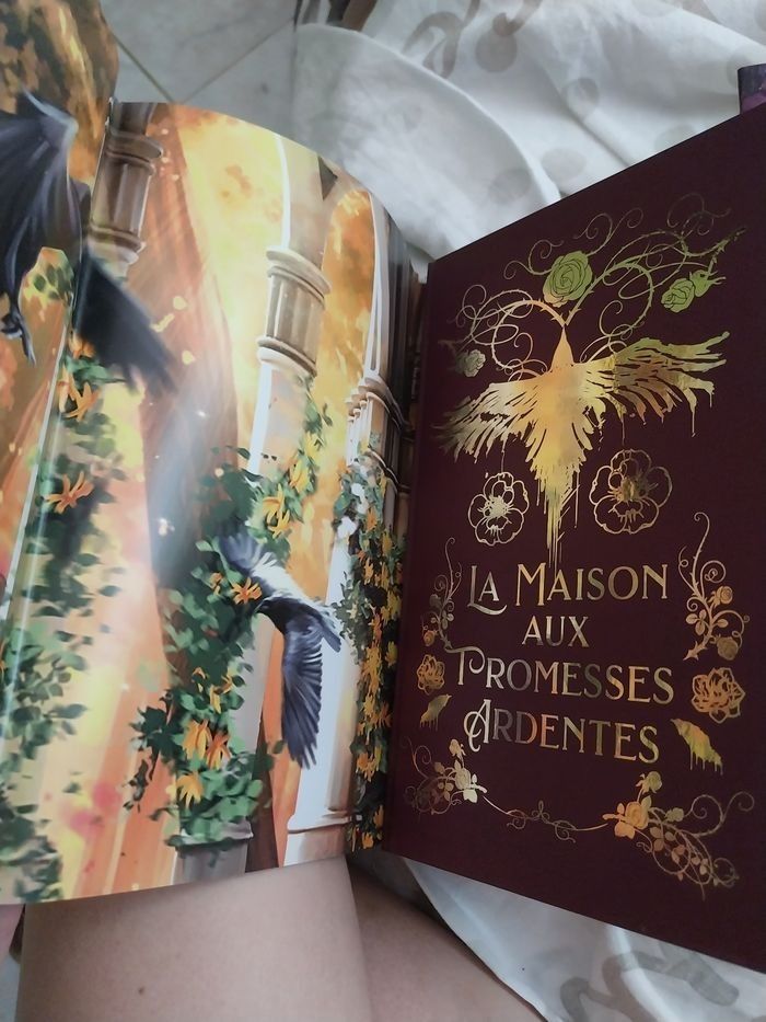 Romans Le Royaume des Corbeaux tomes 1 à 3 Reliés Collectors Olivia Wildenstein Korrigan - photo numéro 6