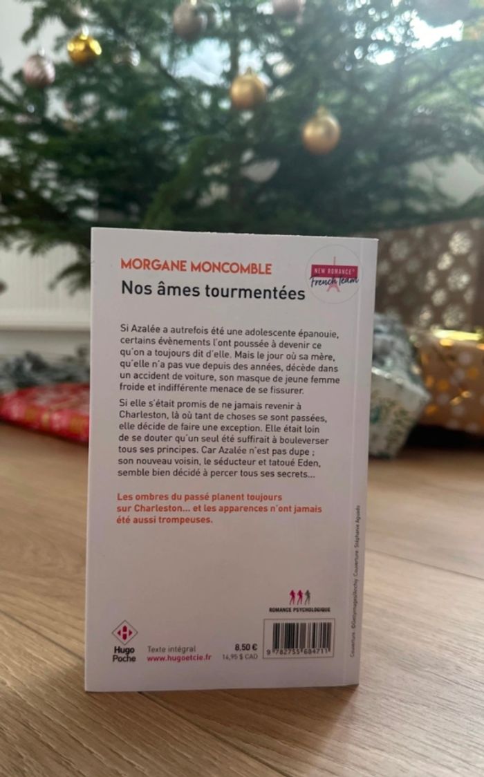 Nos âmes tourmentées de Morgane Moncomble - photo numéro 3