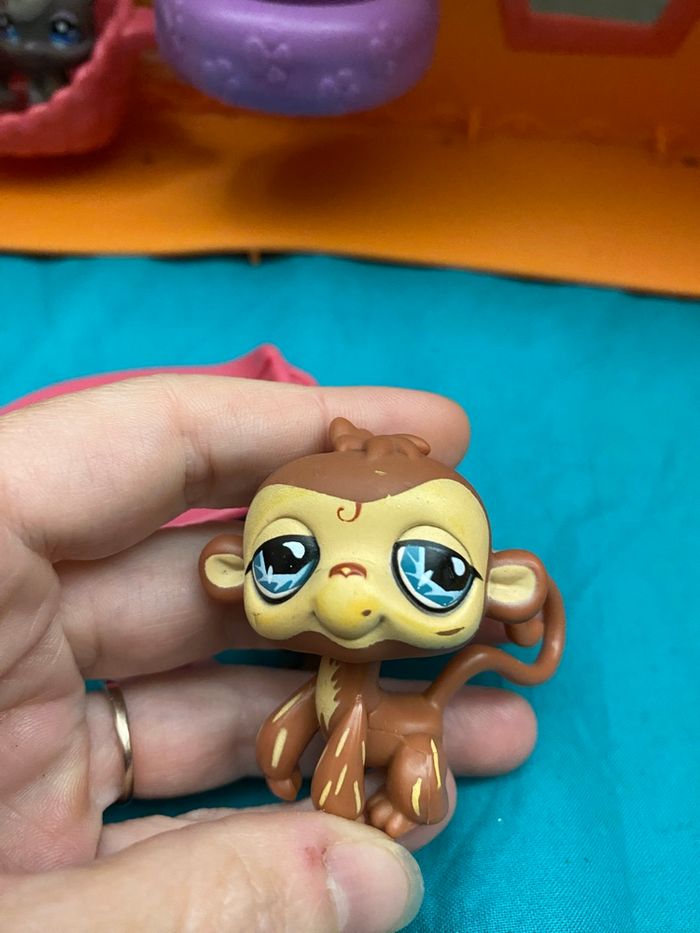 Littlest pet shop le club détente - photo numéro 8