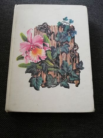 La remontée du fleuve