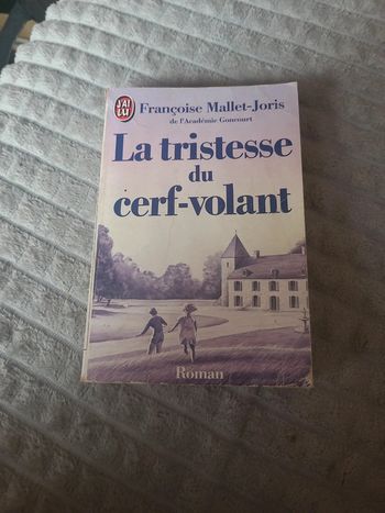 La tristesse du cerf volant